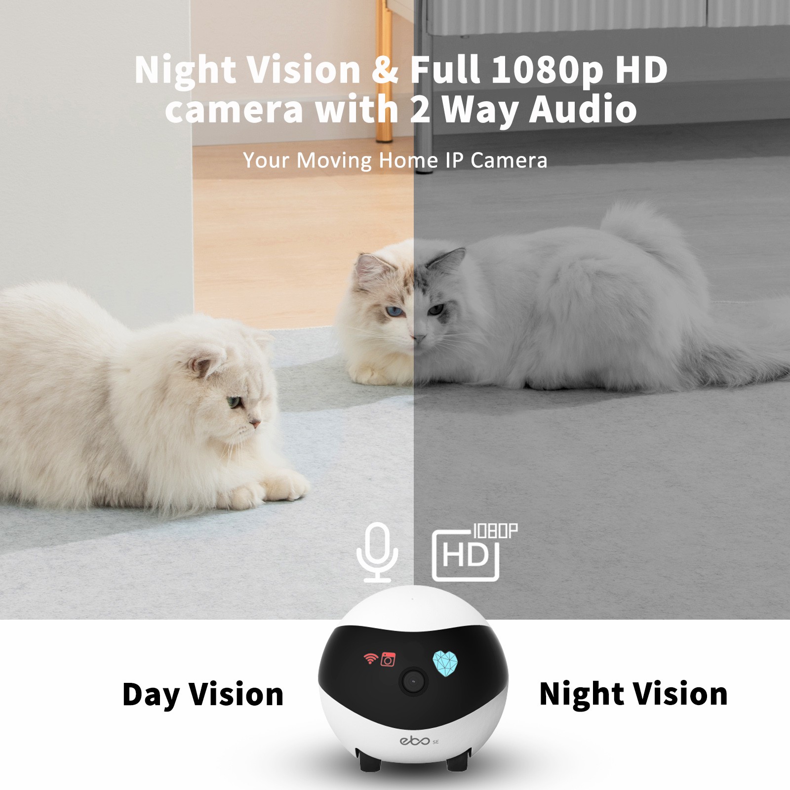 EBO SE Smart Home Robot Compan - Home Security Robot 评论和价格