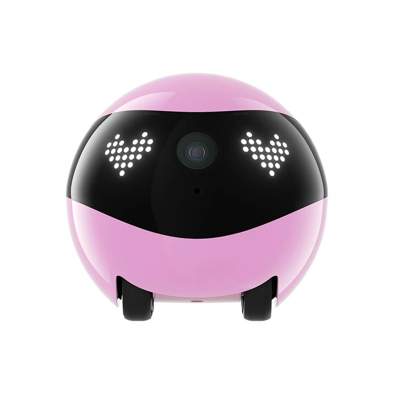 Air2 Camera Robot for Dog Cat  - Home Security Robot 评论和价格