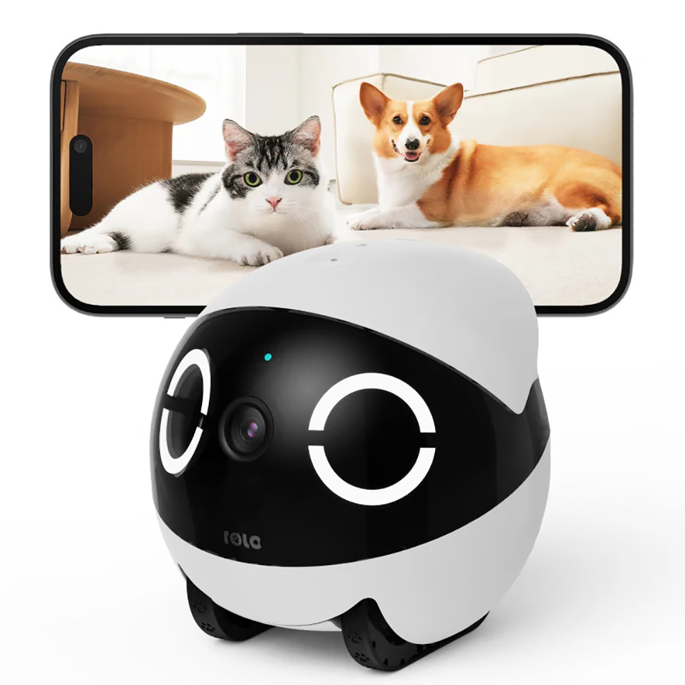 Home Security Pet Tumbler Desi - Home Security Robot 评论和价格