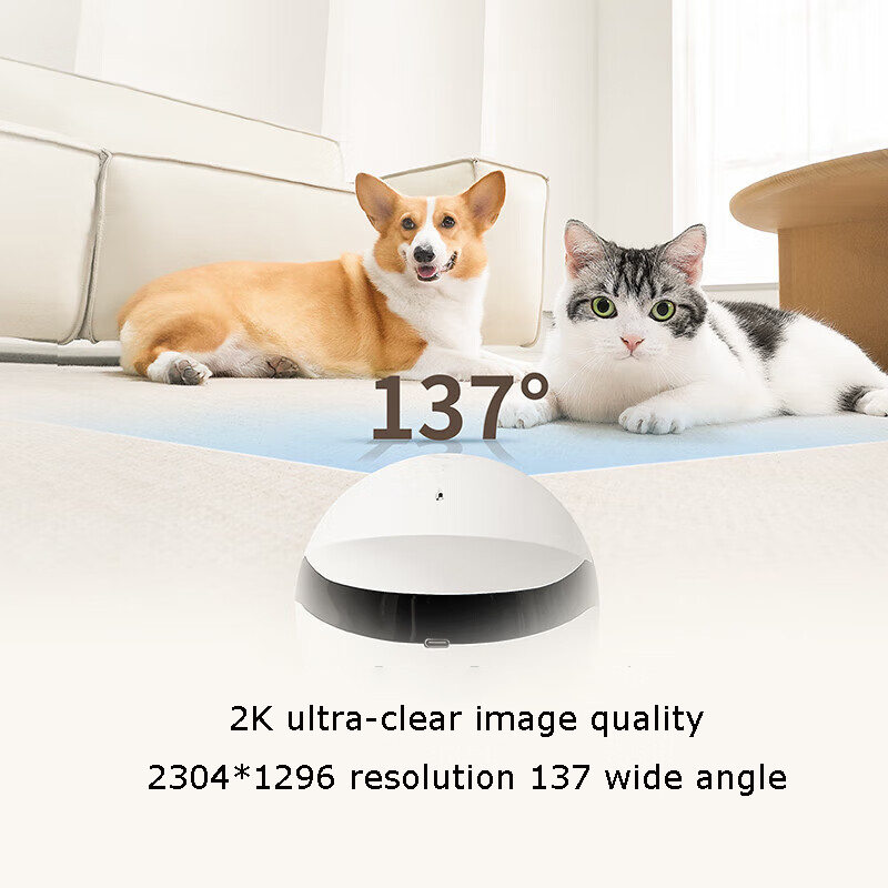 Home Security Pet Tumbler Desi - Home Security Robot 评论和价格